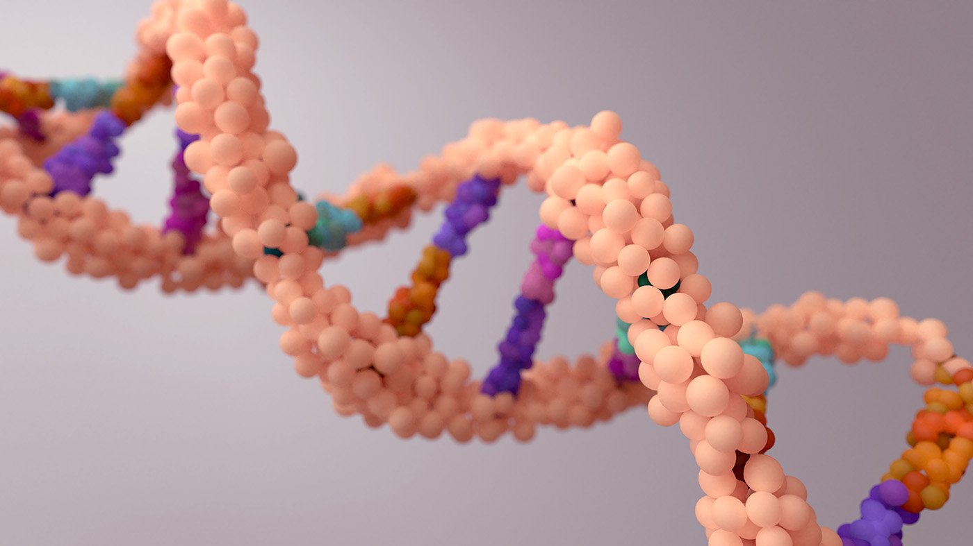 genetic-variants-linked-to-frailty-unlock-aging-related-therapies