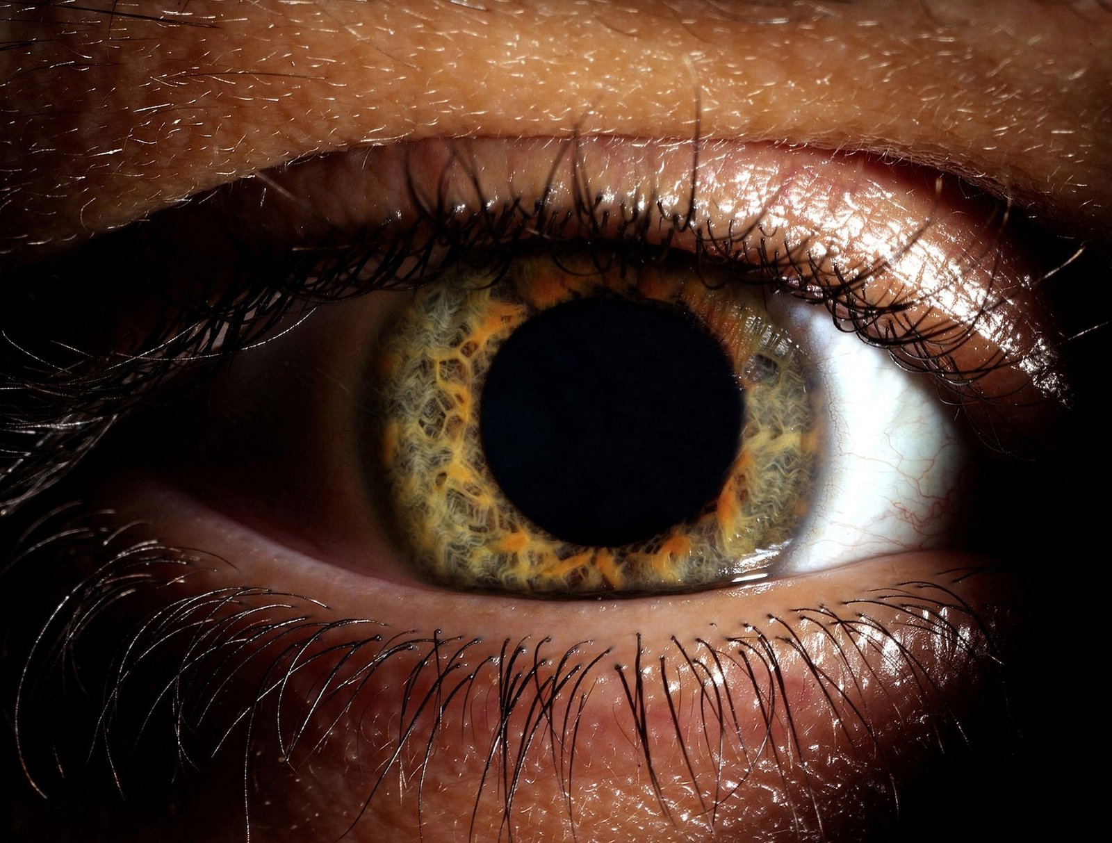 3-blas-in-3-years:-ocugen-sees-potential-in-eye-disease-gene-therapies