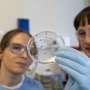 new-malaria-vaccine-targets-parasite’s-fertilization-complex-to-block-transmission
