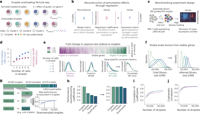 comprehensive-transcription-factor-perturbations-recapitulate-fibroblast-transcriptional-states