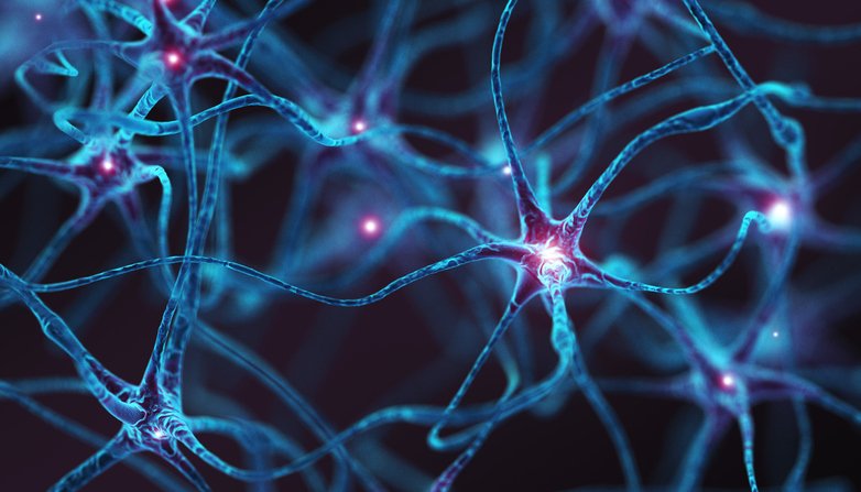out-of-thin-air:-hypoxia-reverses-parkinson’s-symptoms-in-mice