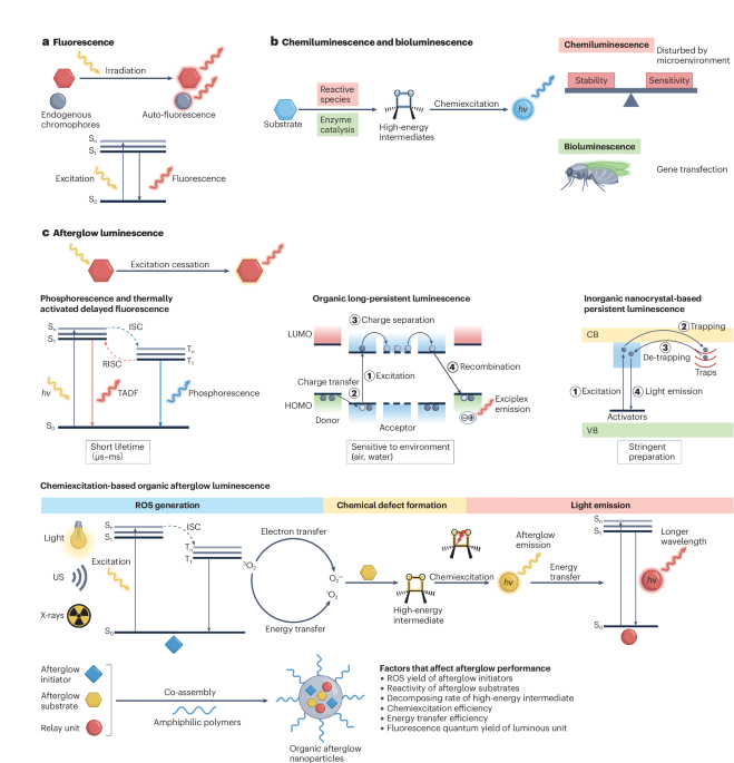 organic-afterglow-luminescence-for-disease-diagnosis-and-treatment