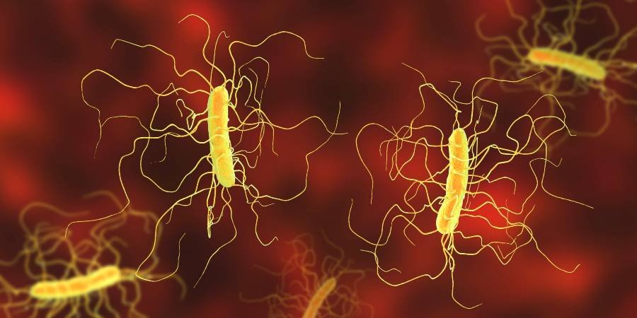 computational-models-forecast-c.-diff-infections-before-they-develop