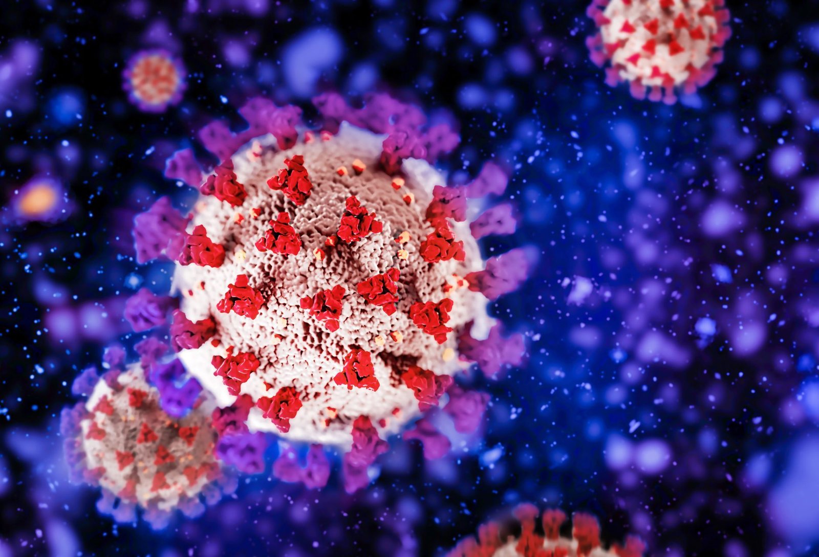 conserved-t-cell-targets-may-boost-universal-coronavirus-vaccine-development