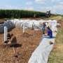 bioreactors-reduce-phosphorus-from-agricultural-drainage-water,-study-shows
