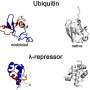 Atomic-level simulations reveal new class of protein misfolding in high definition
