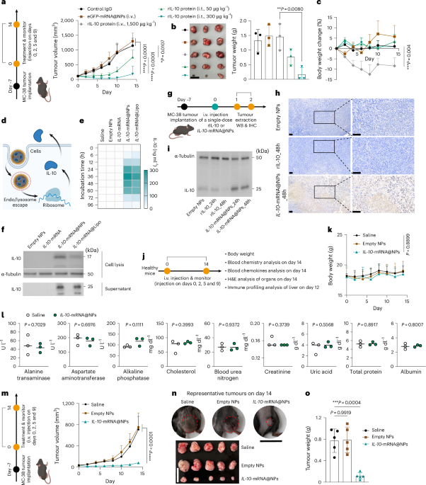 systemic-reprogramming-of-tumour-immunity-via-il-10-mrna-nanoparticles