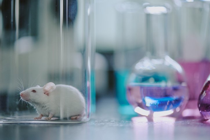 mitochondria-targeted-receptor-counters-neurodegeneration-in-mice