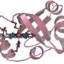 novel-protein-therapy-shows-promise-as-first-ever-antidote-for-carbon-monoxide-poisoning