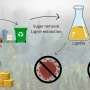 Wood industry byproduct lignin found effective against viruses and bacteria