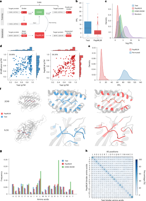 target-sequence-conditioned-design-of-peptide-binders-using-masked-language-modeling