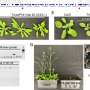 Back to the basics: Minimal genomes yield viable plants for biotech applications
