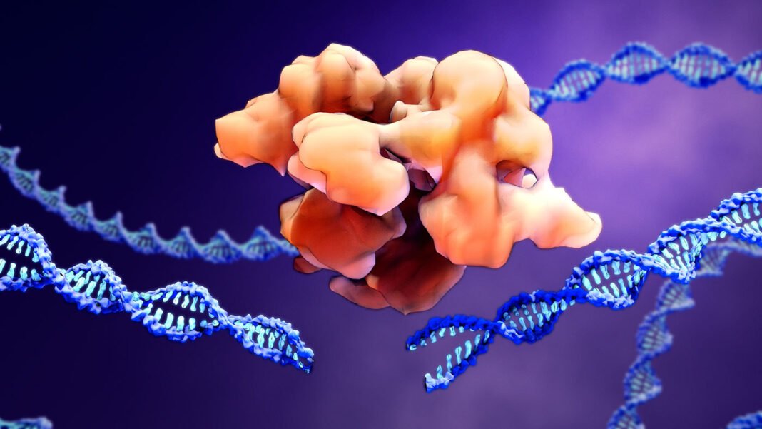 ai-designed-dna-repair-templates-improve-gene-editing-precision