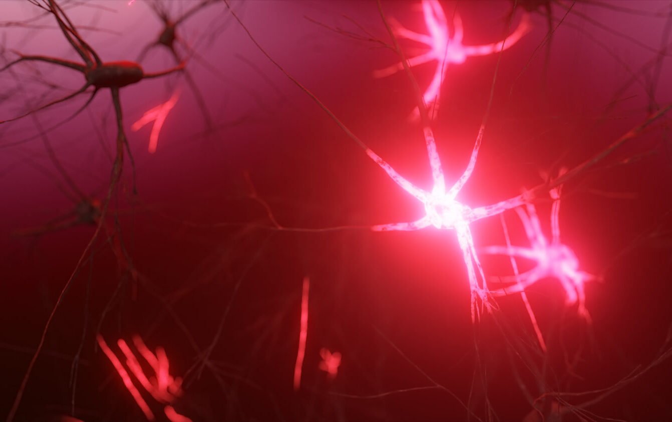 rapidly-evolving-human-genomic-region-tied-to-neural-development,-flexible-thinking