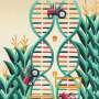 breeding-climate-resilient-crop-plants:-mapping-method-reveals-key-regulatory-switches