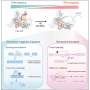 RNA editing tool can take some of the risk out of gene therapy