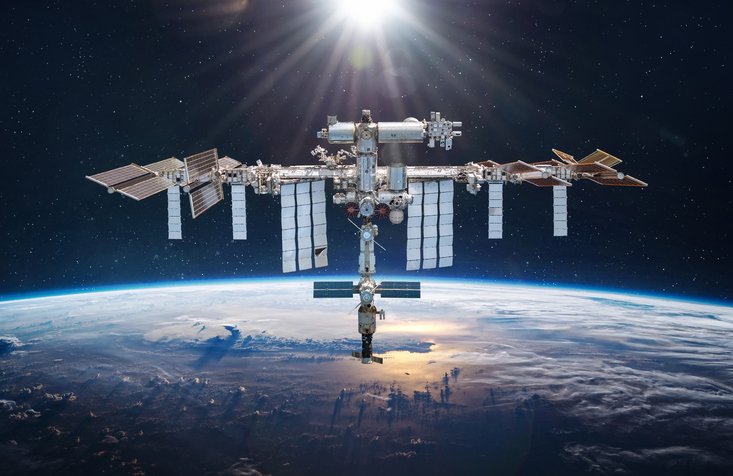 Space Station Stem Cells Successfully Produce Healthy Mice