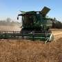 Satellite imagery-driven models support chickpea farmers in the field