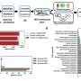 Metabolic modeling unlocks diversity of yeast for industrial biotechnology