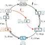 Discovery of second light-activated state in alga ion channel could inform future optogenetics