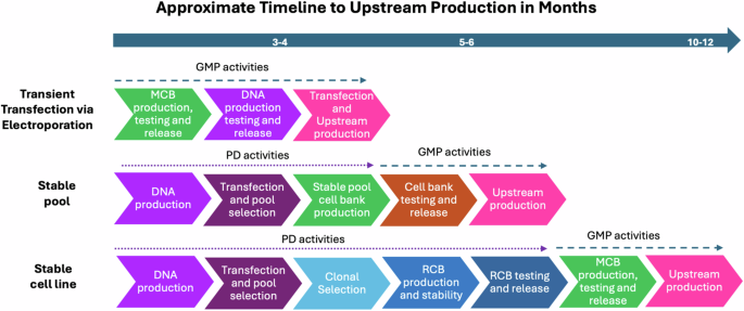 Accelerating the manufacturing of HIV Env protein vaccines for early phase clinical evaluation