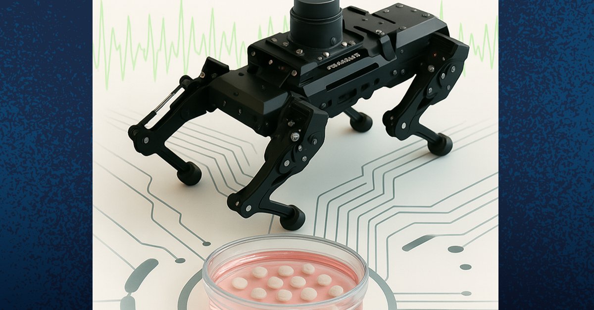 brain-organoid-growth-accelerated-by-graphene-method-models-age-related-disease