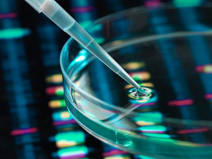 andelyn-and-amplo-biotechnology-partner-to-manufacture-gene-therapies-for-nmj-diseases