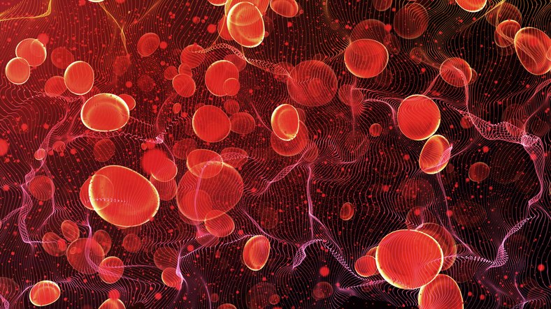 boosting-hemoglobin’s-antioxidant-activity-could-counter-neurodegenerative-disorders
