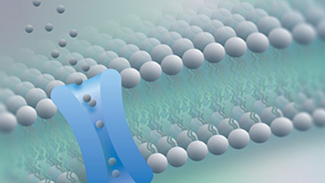 Rapid cell-free synthesis of challenging membrane proteins