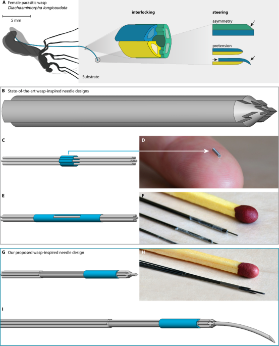 steering-strategies-for-wasp-inspired-self-propelled-needles