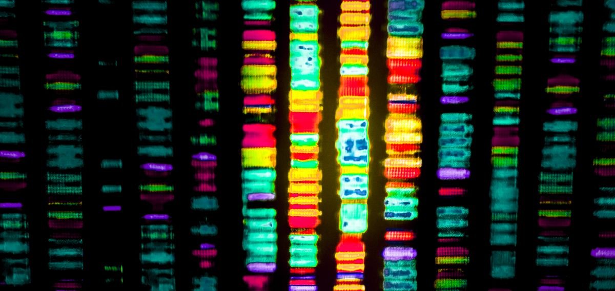 ai-reveals-how-protein-modifications-link-mutations-to-disease