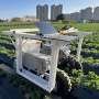robotic-harvester-uses-ai-vision-and-soft-grippers-to-pick-hidden-strawberries