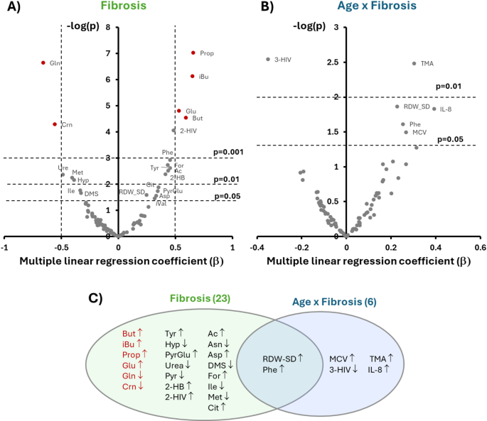 a-potential-age-independent-masld-related-liver-fibrosis-index-based-on-metabolic-profiling