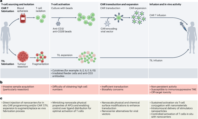 nanotechnology-for-car-t-cells-and-tumour-infiltrating-lymphocyte-therapies