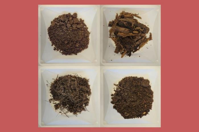 novel-antibiotics-unearthed-by-long-read-sequencing-of-soil-metagenome