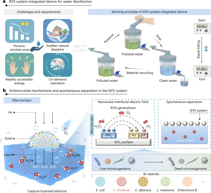 hand-powered-interfacial-electric-field-enhanced-water-disinfection-system