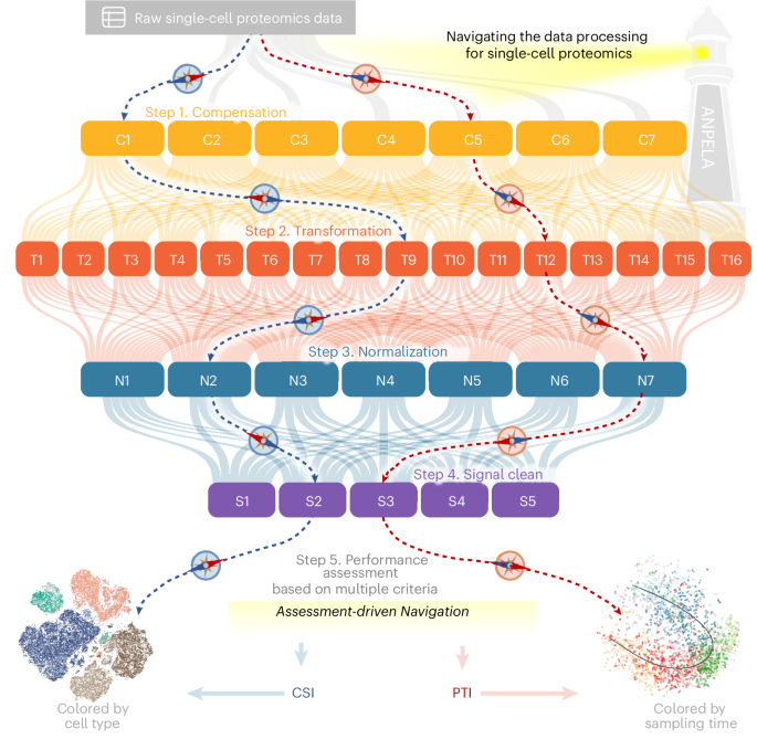 navigating-the-data-processing-for-cytometry-based-single-cell-proteomics