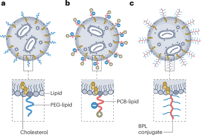 making-way-for-peg-alternatives