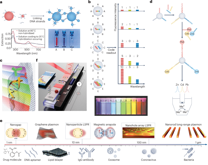 towards-the-next-generation-of-nanobiosensors