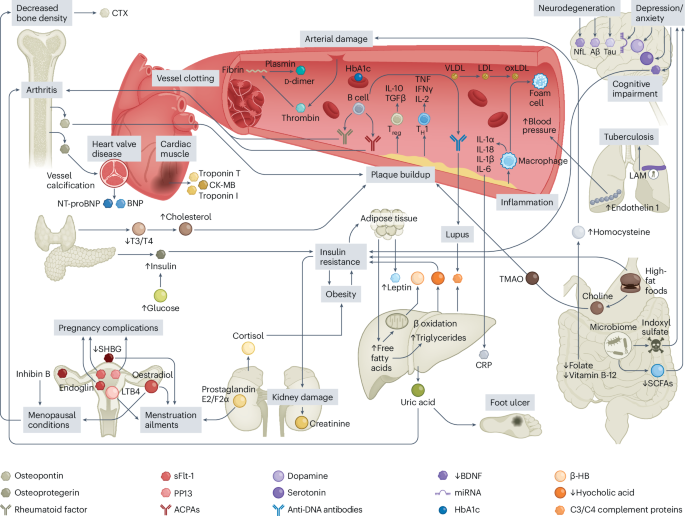 wearable-biomolecular-sensing-nanotechnologies-in-chronic-disease-management