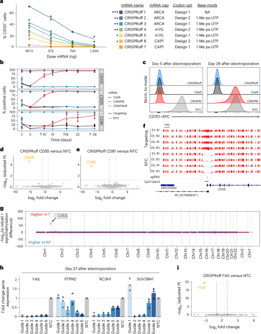 integrated-epigenetic-and-genetic-programming-of-primary-human-t-cells