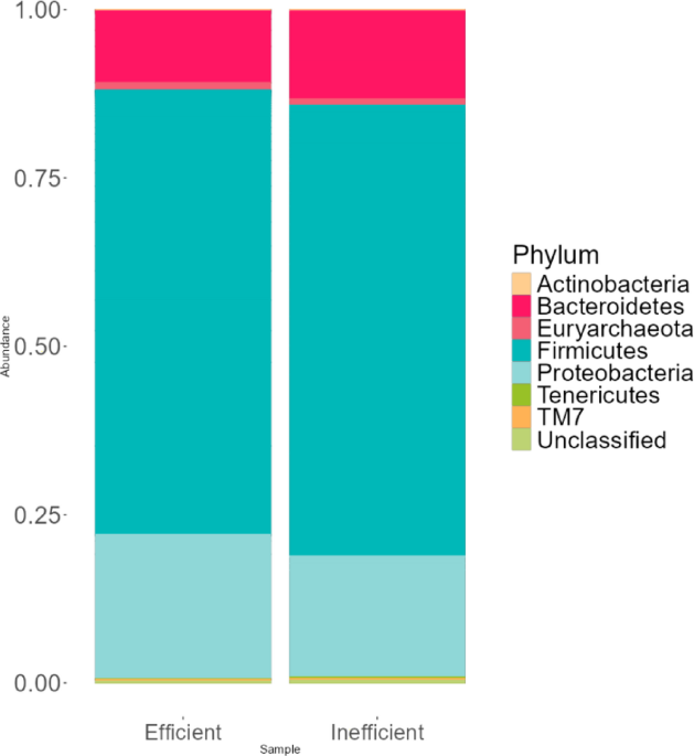 mirna‒microbiome-correlations-in-bos-indicus-feed-efficiency