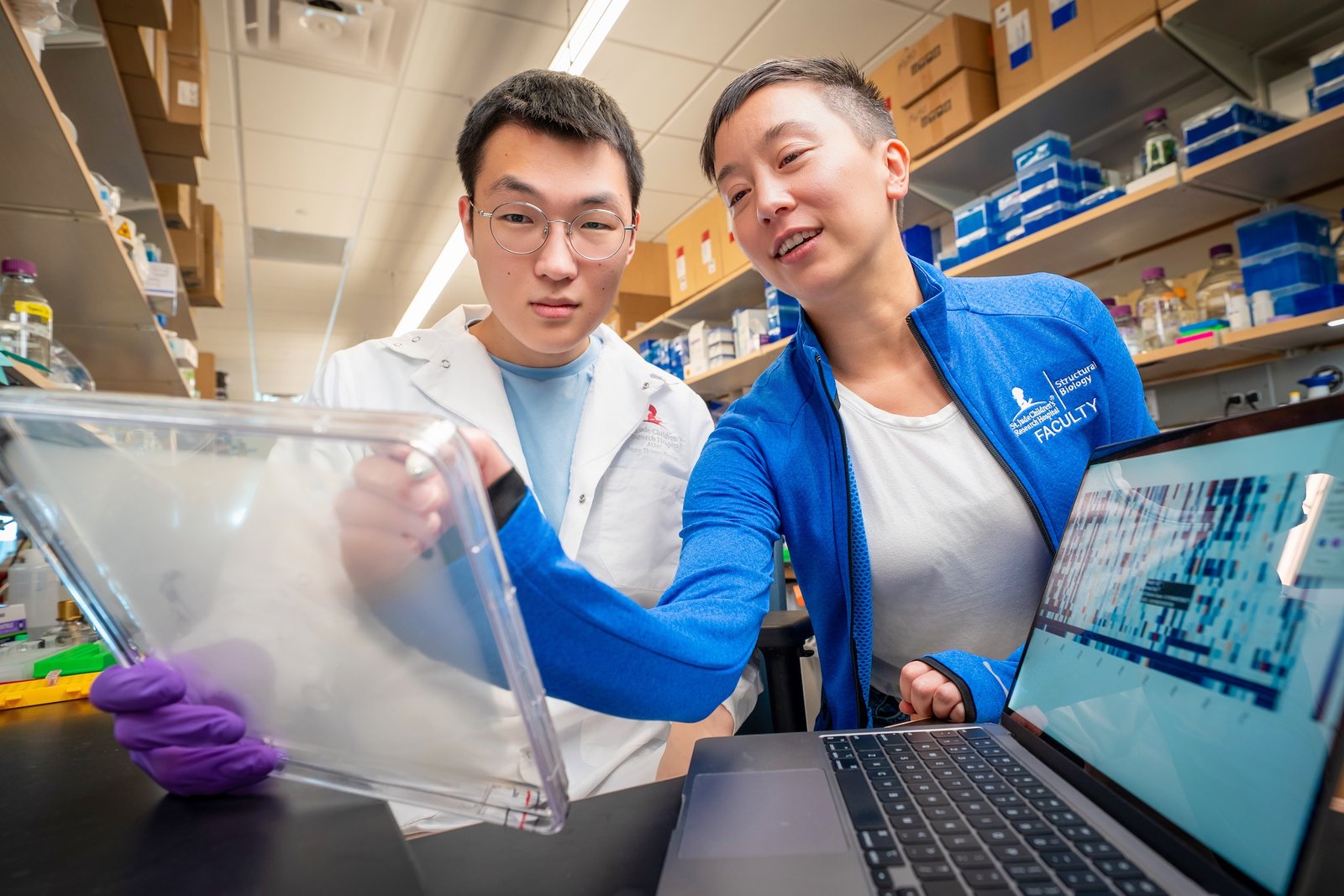 engineering-crispr-associated-transposons-for-precision-gene-insertion