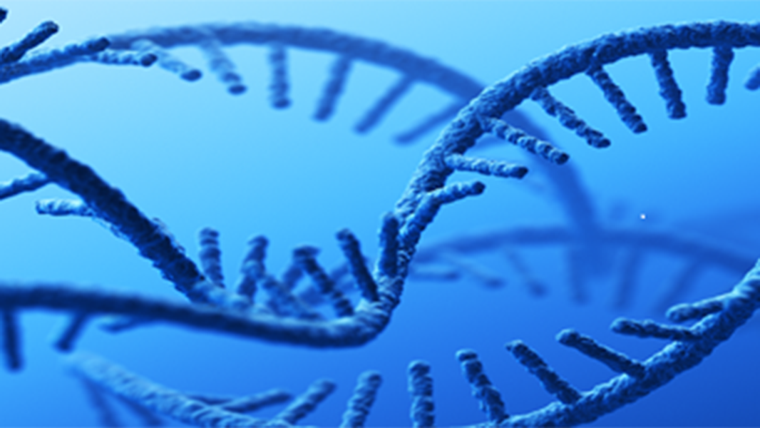 method-development-for-characterization-of-mrna-vaccines-and-therapeutics-with-mass-photometry