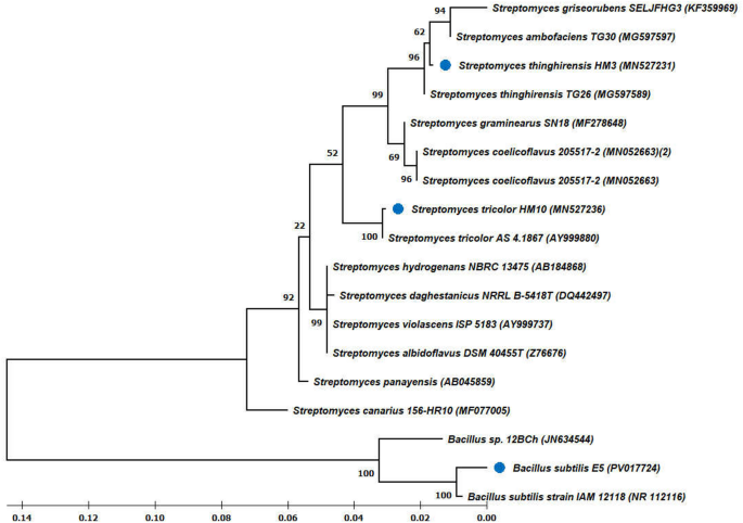 biological-control-of-citrus-rust-mite-phyllocoptruta-oleivora-by-three-bacterial-species