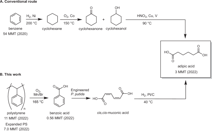upcycling-waste-polystyrene-to-adipic-acid-through-a-hybrid-chemical-and-biological-process