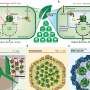 synthetic-biology-to-supercharge-photosynthesis-in-crops