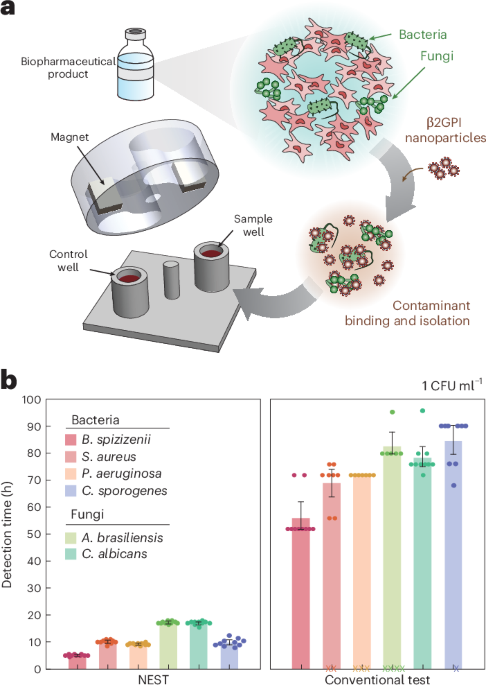 accelerated-sterility-testing-unlocks-safe-delivery-of-life-saving-therapies