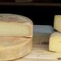 five-science-backed-ways-to-make-cheese-production-greener