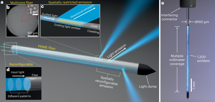 laser-engineered-prime-fiber-for-panoramic-reconfigurable-control-of-neural-activity